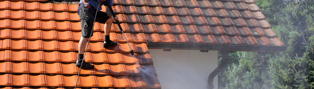 roof cleaning